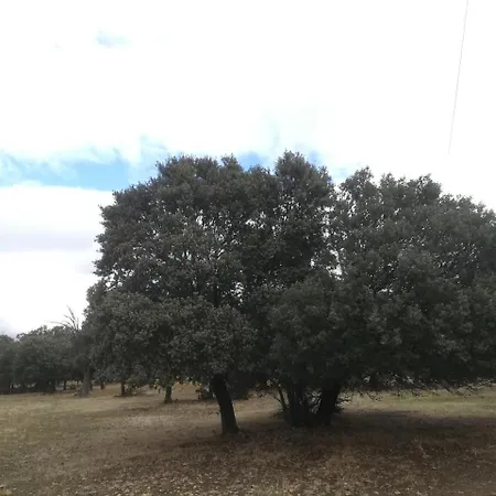 Дом отдыха El Caz Del Molino